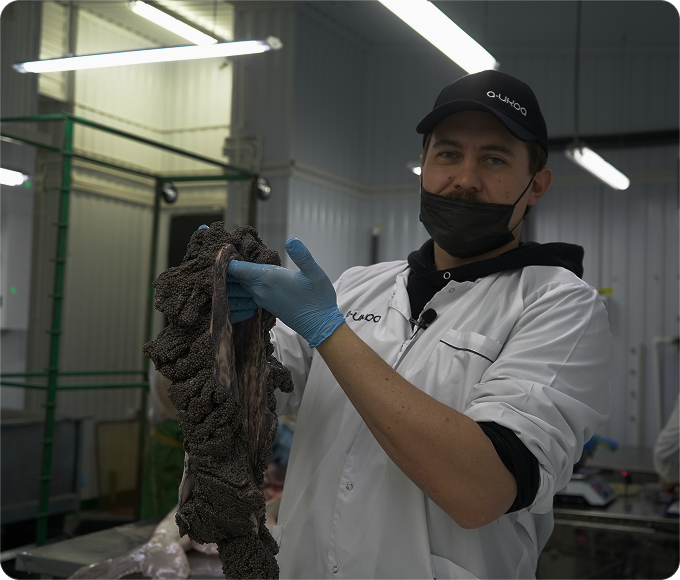 Основатель A-ikra, Ярослав Викторов